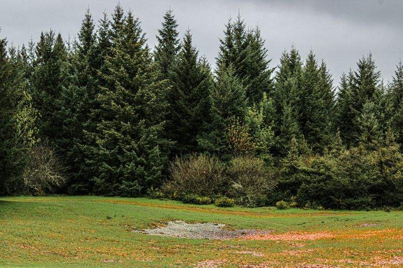 Fordele ved håndlavet keramik i hjemmet